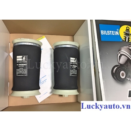 Bóng hơi giảm xóc sau xe BMW X5 đời 2009_ 40- 221595